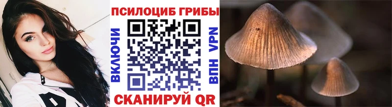 Купить где  Рузаевка  Псилоцибиновые грибы прущие грибы 